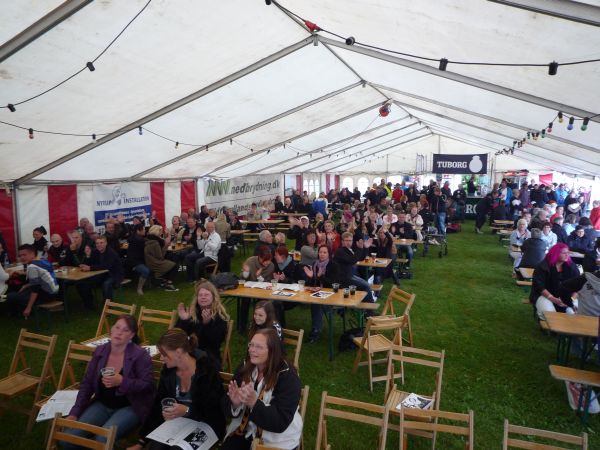 Stenlille festival 2012